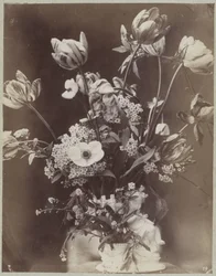 Studio di fiori in vaso con figura di bambino
