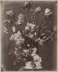 Studio di fiori in vaso con figura di bambino