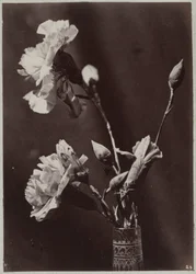 Studio di fiori con vaso di vetro