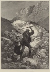 Uccidere vipere nella foresta di Fontainebleau