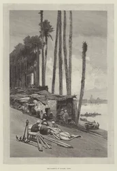 Il Porto di Boulak, Il Cairo