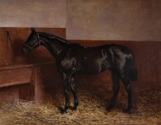 Chippendale in una scatola sciolta