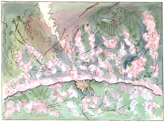 Massenet - Esclarmonde - Scenario di Charles Bianchini - Atto 2, scena 1, sipario della rosa che scende - disegno di G. Stein, 1889 (c)