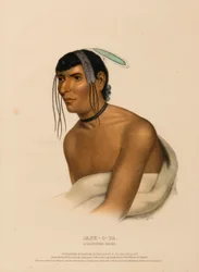 JACK-O-PA. Un capo CHIPPEWA, da "Storia delle tribù indiane del Nord America".