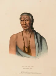LAP-PA-WIN-SOE. Un capo del DELAWARE, da Storia delle tribù indiane del Nord America