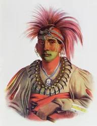 Nowaykesugga, un Otto, illustrazione da «Le tribù indiane del Nord America, vol. 3», di Thomas L. McKenney e James Hall, pubblicata da John Grant