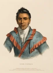 OCHE-FINCECO, da Storia delle tribù indiane del Nord America