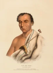 ON-GE-WAE. Un capo CHIPPEWA, da Storia delle tribù indiane dell