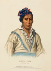 RANA DI PRIMAVERA. Un capo CHEROKEE, da Storia delle tribù indiane del Nord America