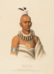 TAI-O-MAH. UN BRAVO MUSQUAKEE., da Storia delle tribù indiane del Nord America