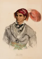 Tah-Chee (olandese), un capo Cherokee, da Storia delle tribù indiane del Nord America