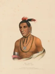 WA-KAWN, UN CAPO WINNEBAGO, da Storia delle Tribù Indiane del Nord America