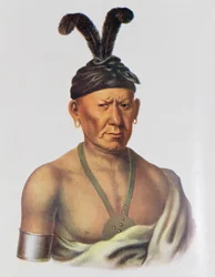 Wakechai o «Aquila accucciata», capo Sauk, illustrazione da «Le tribù indiane dell