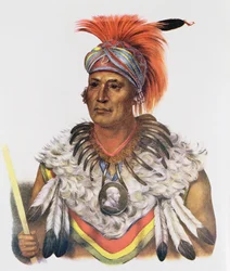 Wapella o il capo principe dei Fox, 1837, illustrazione da «Le tribù indiane del Nord America, vol. 2», di Thomas L. McKenney e James Hall, pubblicato da John Grant