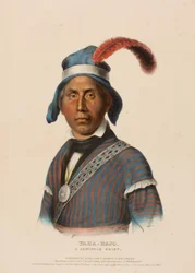 YAHA-HAJO. UN CAPO SEMINOLE, da Storia delle Tribù Indiane del Nord America