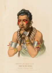IL GIOVANE MA-HAS-KAH. CAPO DEGLI IOWAYS, da Storia delle tribù indiane del Nord America
