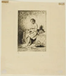 Il nido d