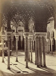 Corte dei Leoni nell