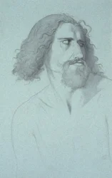 Testa di un uomo