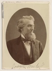 Ritratto di Joseph Medill, c.1876