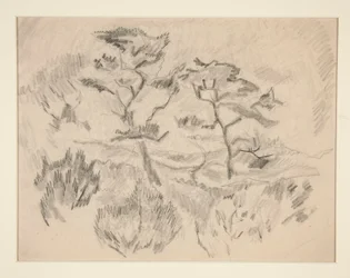 Paesaggio (Bermuda o Provincetown?)