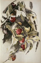 Prugne, 1925