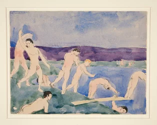 Dodici ragazzi nudi sulla spiaggia