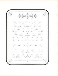 Fiocchi calligrafici ed elementi decorativi (stampa)