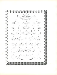 Fiocchi di penna calligrafica - Continuazione della prima serie (stampa)