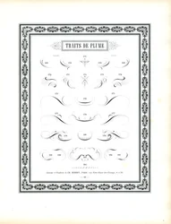 Fiocchi di penna calligrafica - Traits de Plume (stampa)
