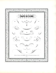 Fiocchi di penna calligrafica con bordo floreale (stampa)