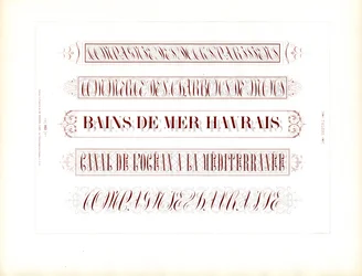 Linee di titolo calligrafiche in un disegno di scrittura ornamentale (stampa)