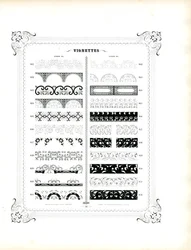 Bordi decorativi fini e strisce ornamentali (stampa)