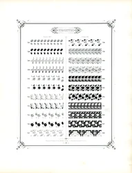 Ornamenti floreali e geometrici per la stampa di libri (stampa)