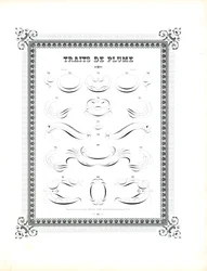Fiocchi di penna calligrafica di grande formato (stampa)