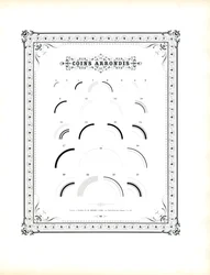 Elementi ad angolo arrotondato (stampa)