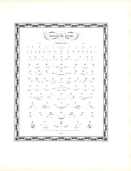 Catalogo di esempio per Fiocchi di penna calligrafica - Prima serie (stampa)