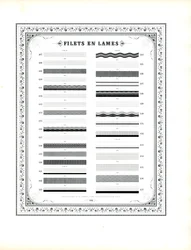Regole decorative tipografiche con bordo floreale (stampa)