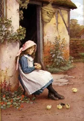 Il Piccolo Pulcino