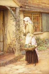 La rosa più dolce