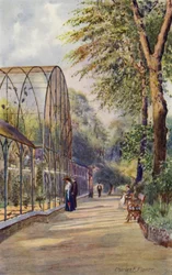 Zoo di Londra: Voliera occidentale