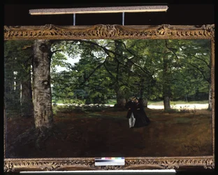 Passeggiata nel bosco