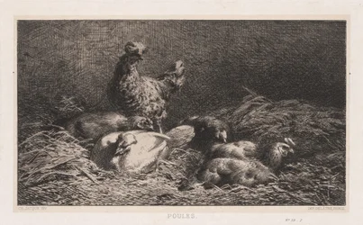 Polli