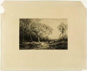 Bordo di un Bosco