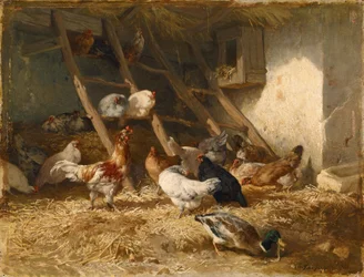 Galline