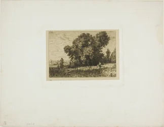 Paesaggio dell