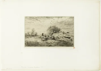 Paesaggio con mandria di maiali