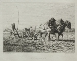 Aratura