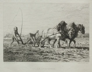 Aratura