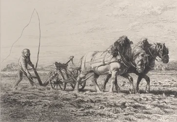 Aratura, 1864